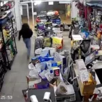 Robo en un pet shop de la avenida Mario Bravo: le llevaron el celular a la empleada 456