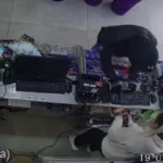 Atrapan a un delincuente en el centro tras asaltar un kiosco y le atribuyen otros cinco robos a comercios 789