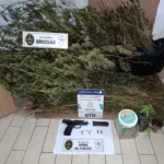 Allanamiento tras un violento ataque: dos detenidos y casi 10 kilos de marihuana secuestrados IMG-20260709-WA0007