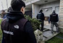 Rescataron a un perro víctima de maltrato en Mar del Plata: estaba desnutrido y en condiciones de abandono