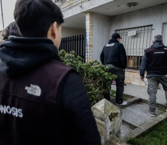 Rescataron a un perro víctima de maltrato en Mar del Plata: estaba desnutrido y en condiciones de abandono