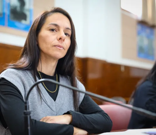 “Cuando una mujer está en riesgo, cada minuto cuenta”: Ayala propone sumar el Alerta 911 en General Pueyrredon