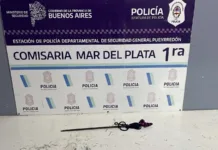 Aprehendieron a un hombre con un arma blanca improvisada tras causar disturbios en el centro de Mar del Plata