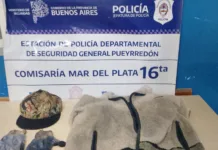 Aprehendieron al presunto autor del robo a mano armada en una verdulería de Bosque Grande