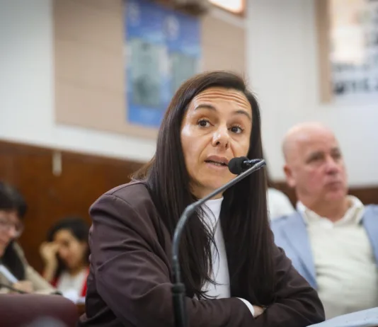 Ayala: “La primera puerta del sistema de salud se está cerrando”