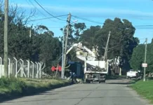Respuesta rápida de la Municipalidad: limpiaron el microbasural en la zona del Faro tras la denuncia vecinal