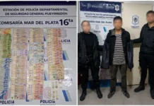 Aprehendido tras intentar robar en un comercio del barrio Fortunato de la Plaza