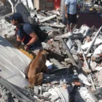 Terremoto de 7,4 en Colombia: al menos 47 muertos, edificios derrumbados y personas atrapadas 5c5c4a16-92bc-4adc-856e-4acda7740254.jpg