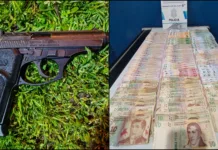 Robo al Drugstore Argentino: dos aprehendidos tras una persecución y el secuestro de un arma de fuego