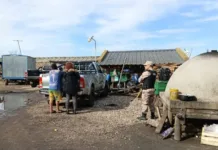 Identificaron a 148 personas durante un operativo por presunta explotación laboral en un establecimiento frutihortícola