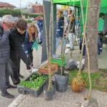 Este jueves, el Punto Verde Móvil estará en la Plaza José Hernández de Los Pinares PUNTO VERDE