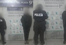 Dos aprehendidos tras robos reiterados en el interior de seis vehículos