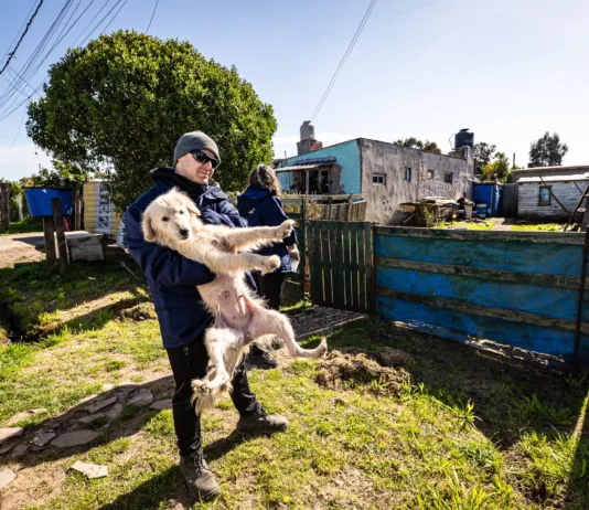 Retiraron a tres perros que estaban maltratados y en estado de abandono en Mar del Plata