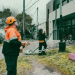 El fuerte viento ya generó 40 reclamos en Mar del Plata: árboles caídos, postes y luminarias dañadas WhatsApp Image 2026-09-21 at 18.12.02