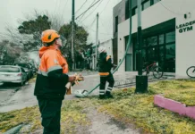 El fuerte viento ya generó 40 reclamos en Mar del Plata: árboles caídos, postes y luminarias dañadas