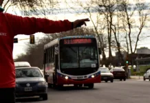 Colectivos: los derechos que tienen los pasajeros y que también rigen en Mar del Plata