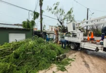 Defensa Civil realizó 35 intervenciones por el temporal y continúa monitoreando Mar del Plata