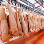 Carne de cerdo: qué riesgos existen si se consume poco cocida y cómo evitar enfermedades cerdos-carne-porcina-02jpgwebp